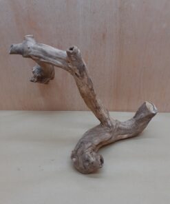 Java Wood - Double Stem - Large 11