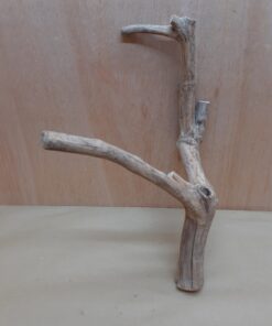 Java Wood - Double Stem - Large 15