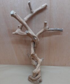 Java Wood - Double Stem - Large 15