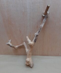 Java Wood - Double Stem - Large 20