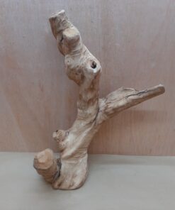 Java Wood - Double Stem - Large 20