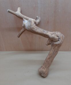 Java Wood - Double Stem - Large 13