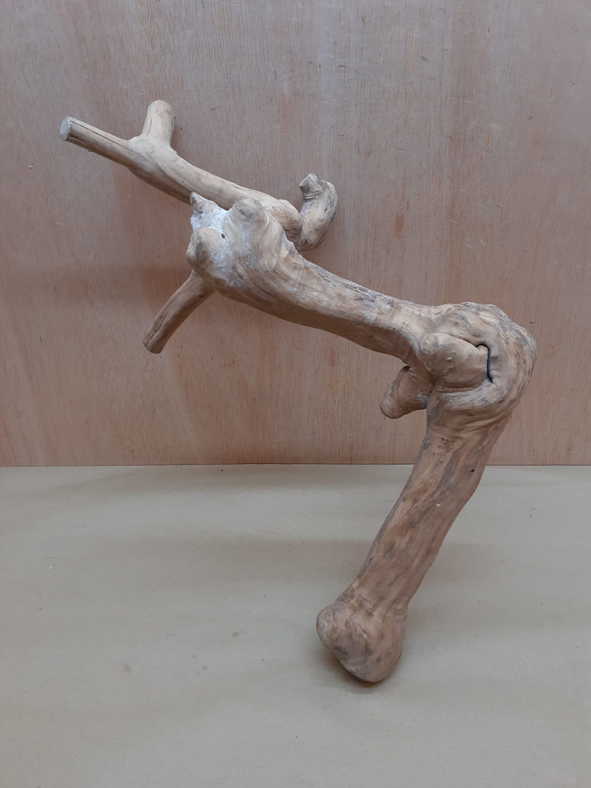 Java Wood - Double Stem - Large 13