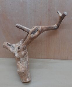 Java Wood - Double Stem - Medium 16