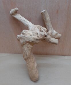 Java Wood - Double Stem - Medium 5