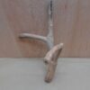 Java Wood - Double Stem - Small 11