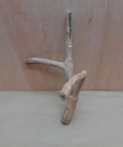 Java Wood - Double Stem - Small 11