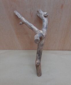 Java Wood - Double Stem - Small 4