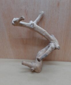 Java Wood - Double Stem - Small 9