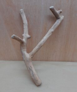 Java Wood - Double Stem - Small 7