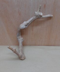 Java Wood - Single Stem - Small 16