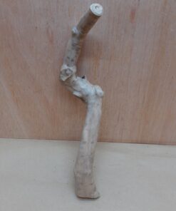 Java Wood - Single Stem - Small 17