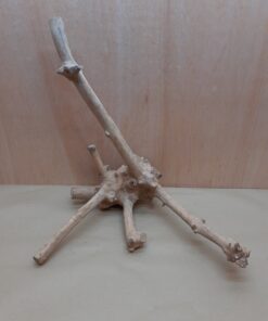 Java Wood - Double Stem - XL 15