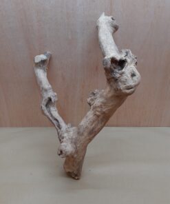 Java Wood - Double Stem - XL 14