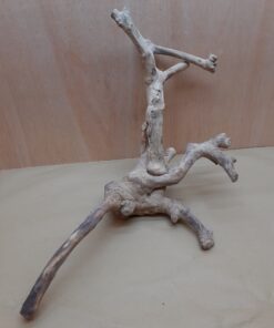 Java Wood - Double Stem - XL 1
