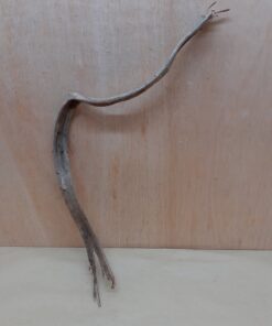Monkey Ladder Liana - Short - 6