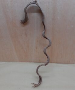 Monkey Ladder Liana - Short - 18