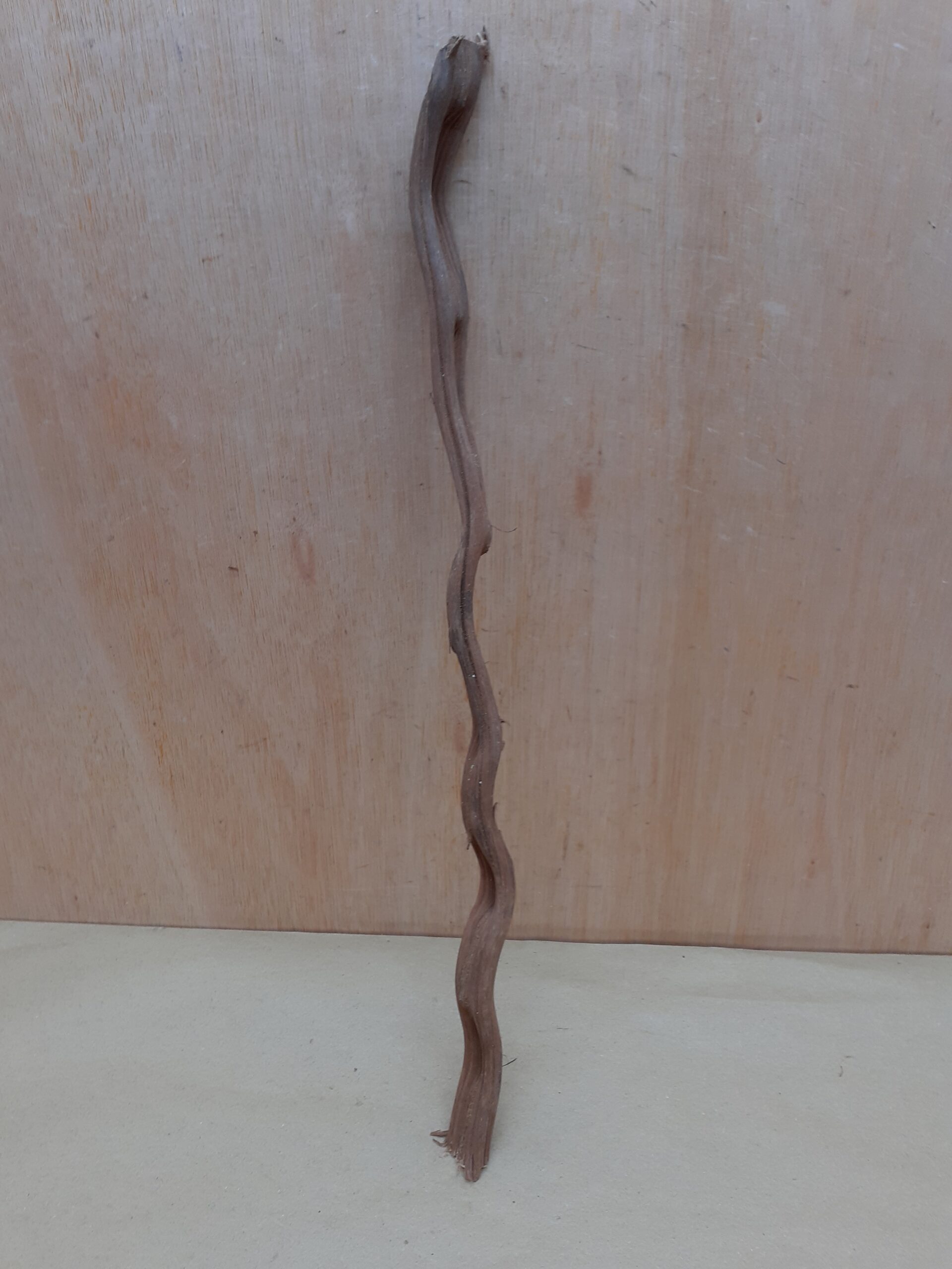 Monkey Ladder Liana - Short - 2