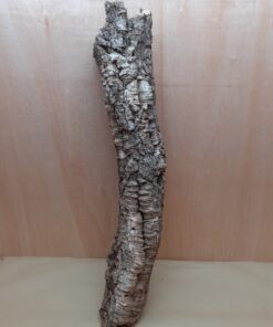 Medium Cork Tube - 60-80cm - 10
