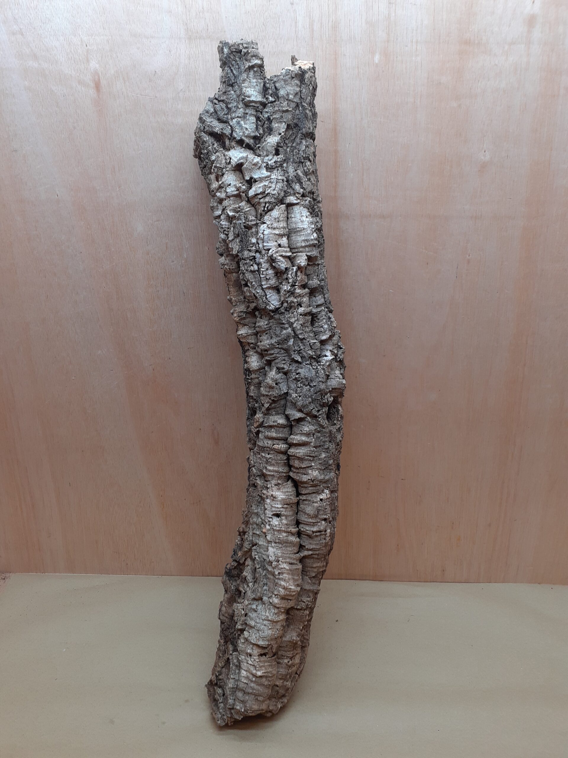 Medium Cork Tube - 60-80cm - 10