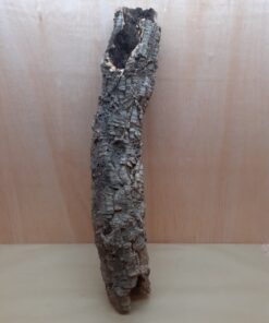 Medium Cork Tube - 60-80cm - 20