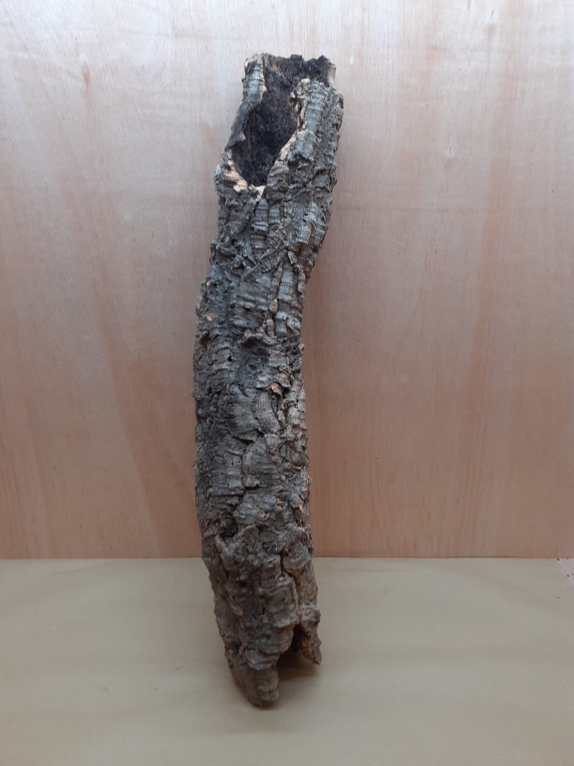 Medium Cork Tube - 60-80cm - 20