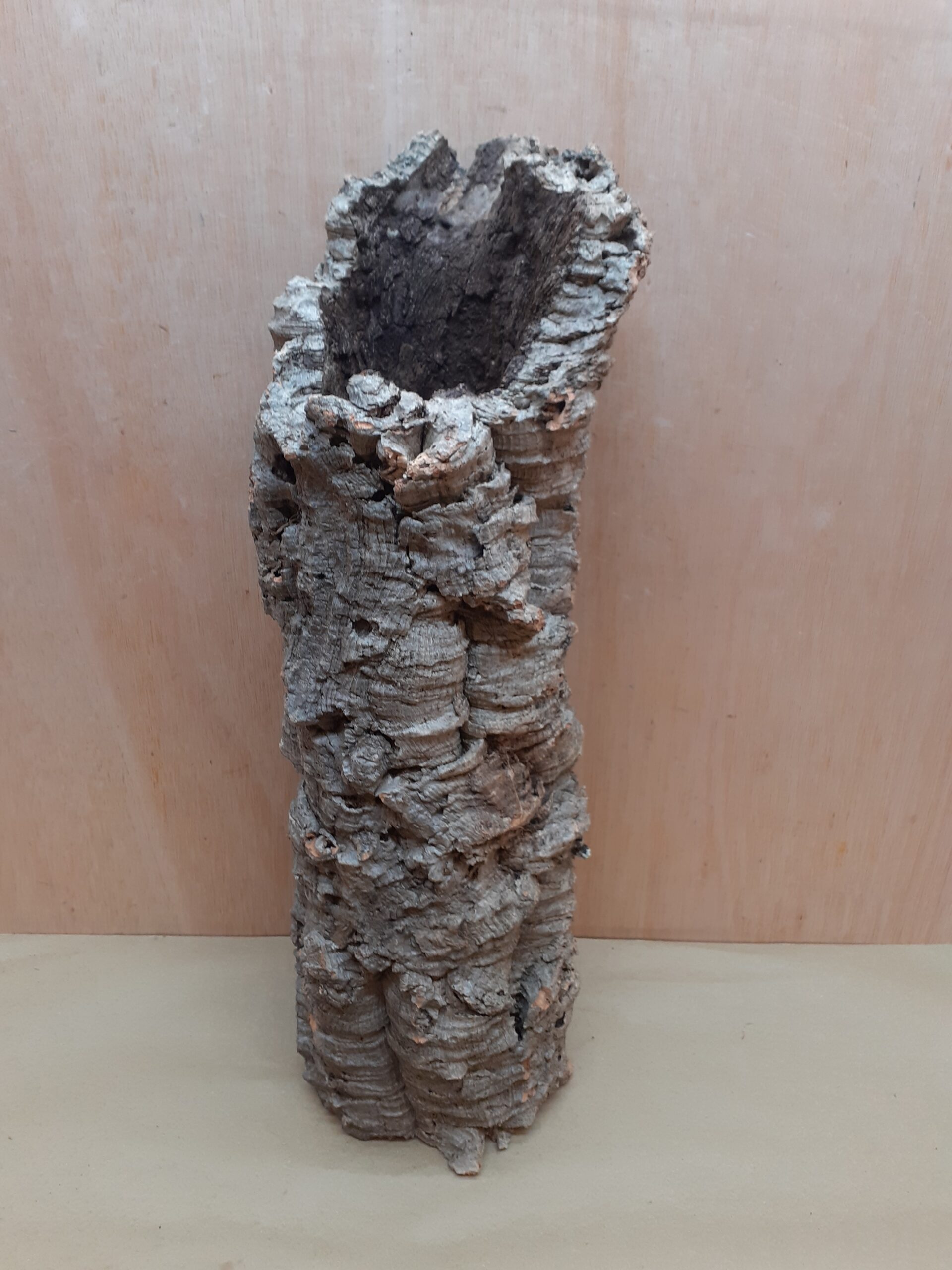 Medium Cork Tube - 40-60cm - 23