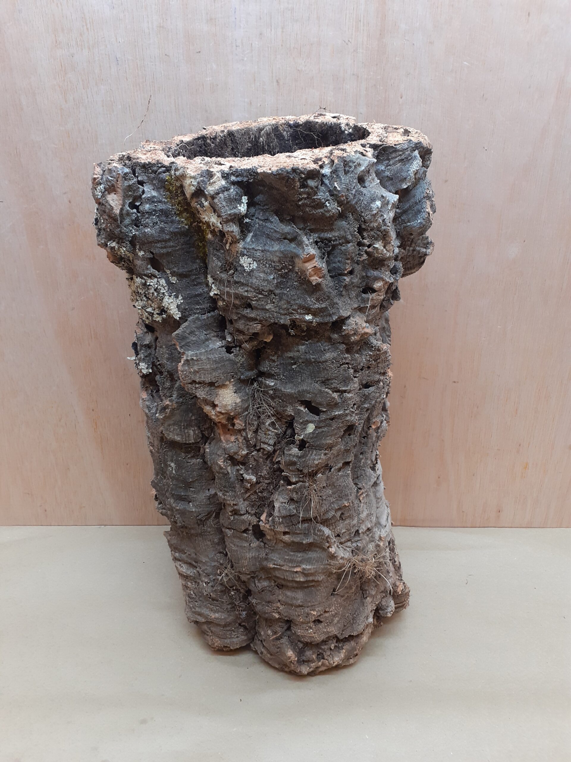 Medium Cork Tube - 40-60cm - 27
