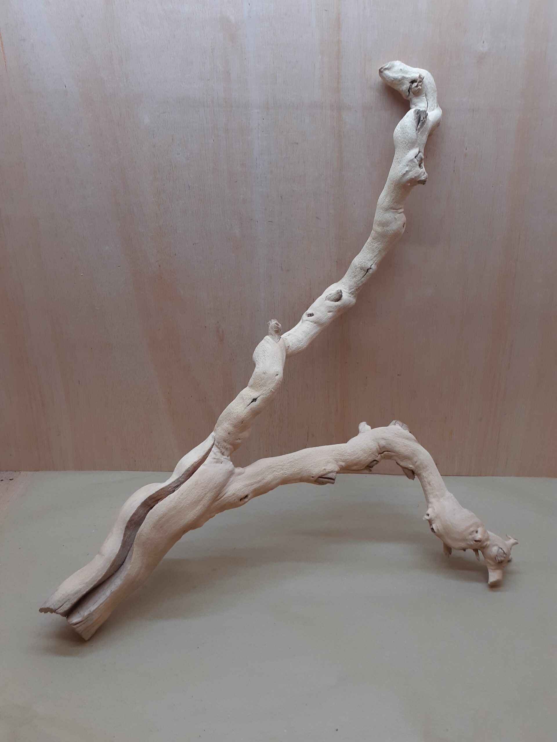Sandblasted Grapevine - Large 14