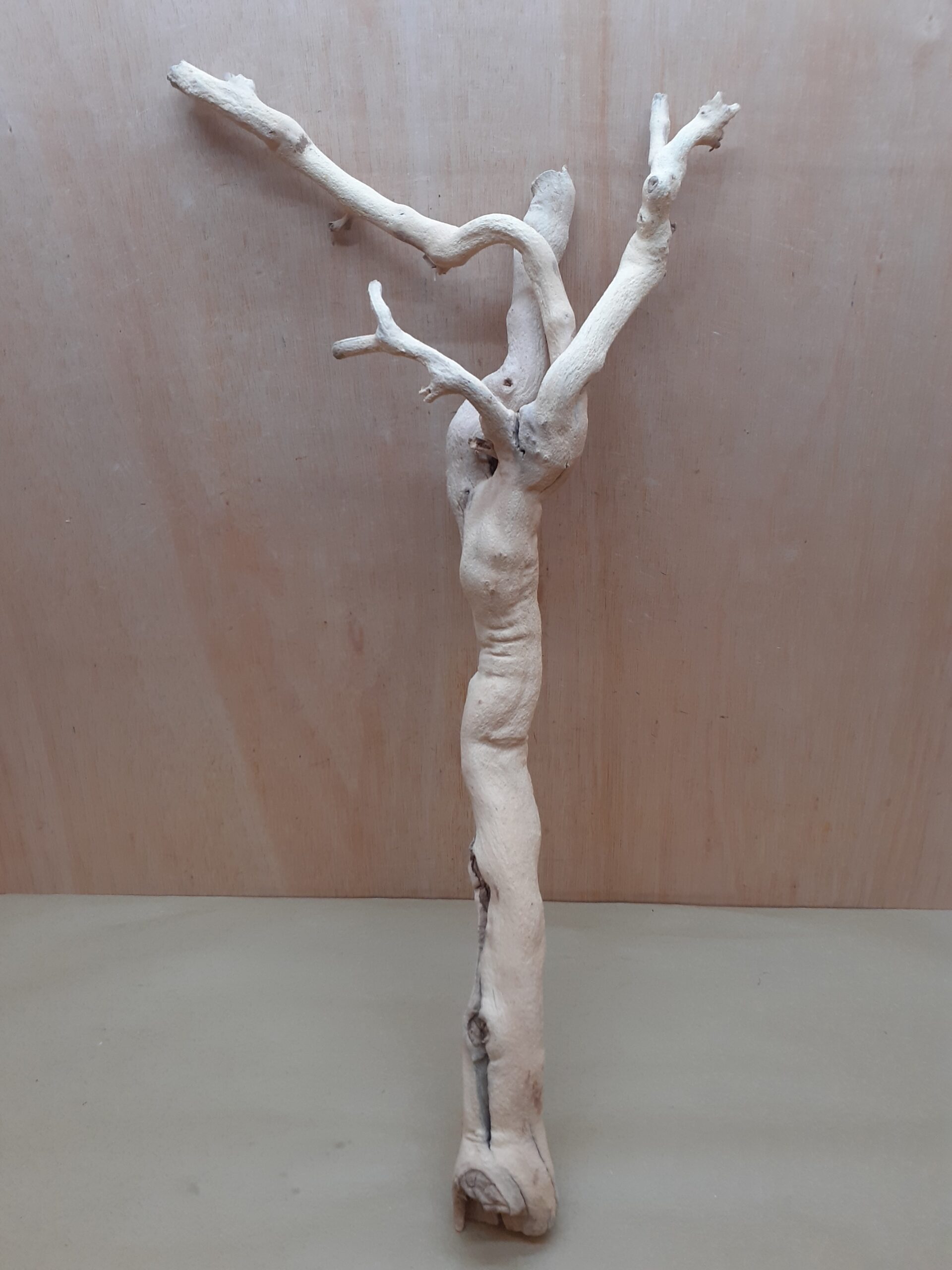 Sandblasted Grapevine - Large 16