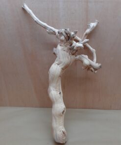 Sandblasted Grapevine - Large 12