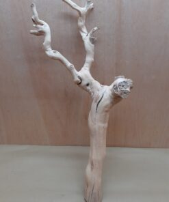 Sandblasted Grapevine - Large 13