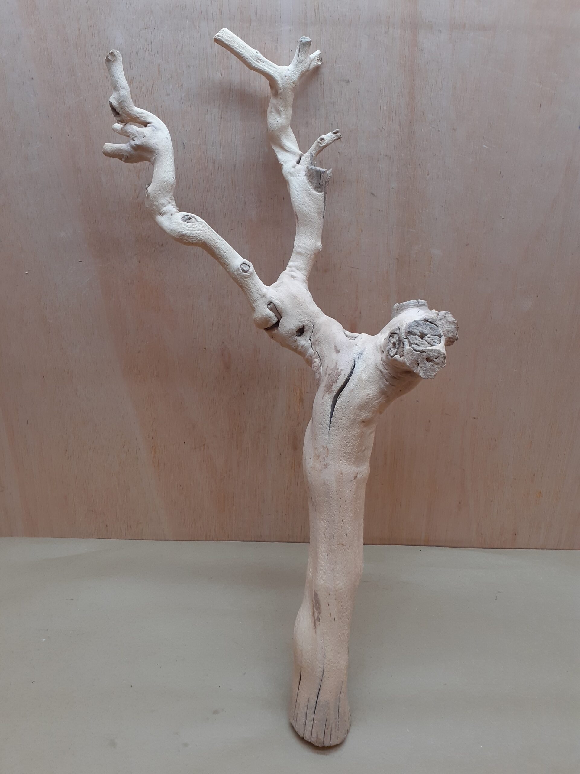 Sandblasted Grapevine - Large 13