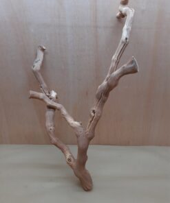 Sandblasted Grapevine - Large 2