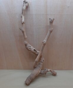 Sandblasted Grapevine - Large 4