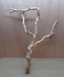 Sandblasted Grapevine - Large 19