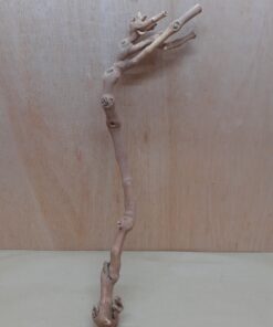 Sandblasted Grapevine - Medium 3