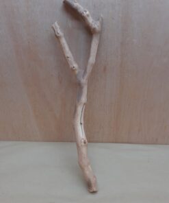 Sandblasted Grapevine - Medium 7