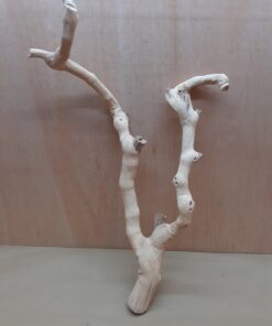 Sandblasted Grapevine - Medium 16