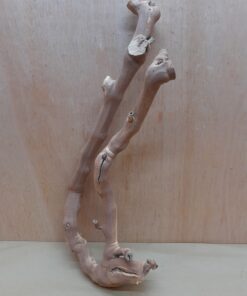 Sandblasted Grapevine - Medium 11