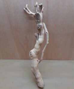 Sandblasted Grapevine - Medium 20