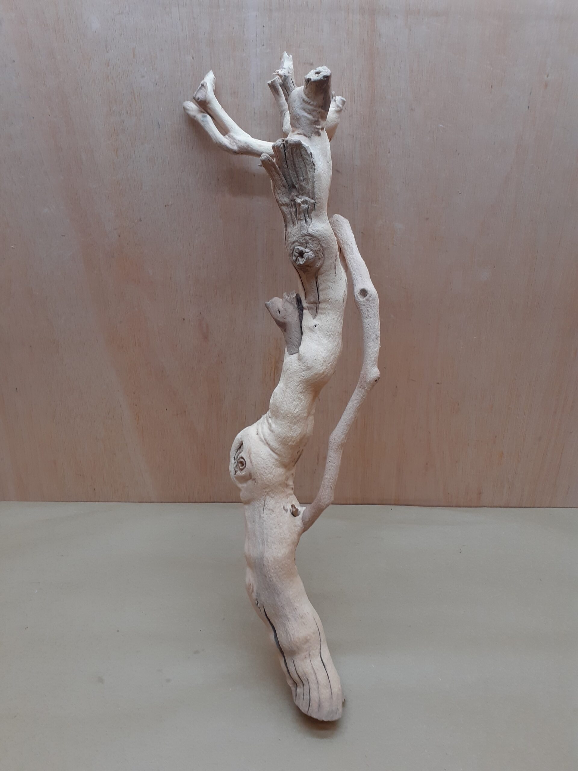 Sandblasted Grapevine - Medium 20
