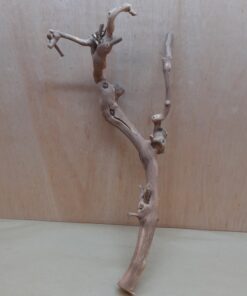 Sandblasted Grapevine - Medium 15