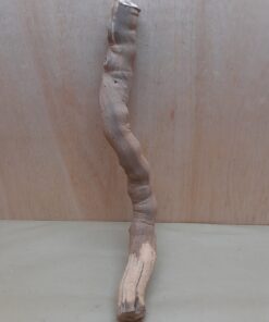 Sandblasted Grapevine - Medium 1