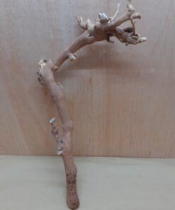 Sandblasted Grapevine - Medium 8