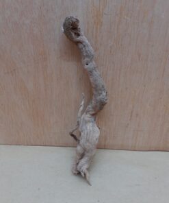 Sandblasted Grapevine - Small 9