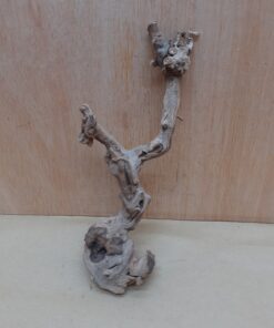 Sandblasted Grapevine - Small 11