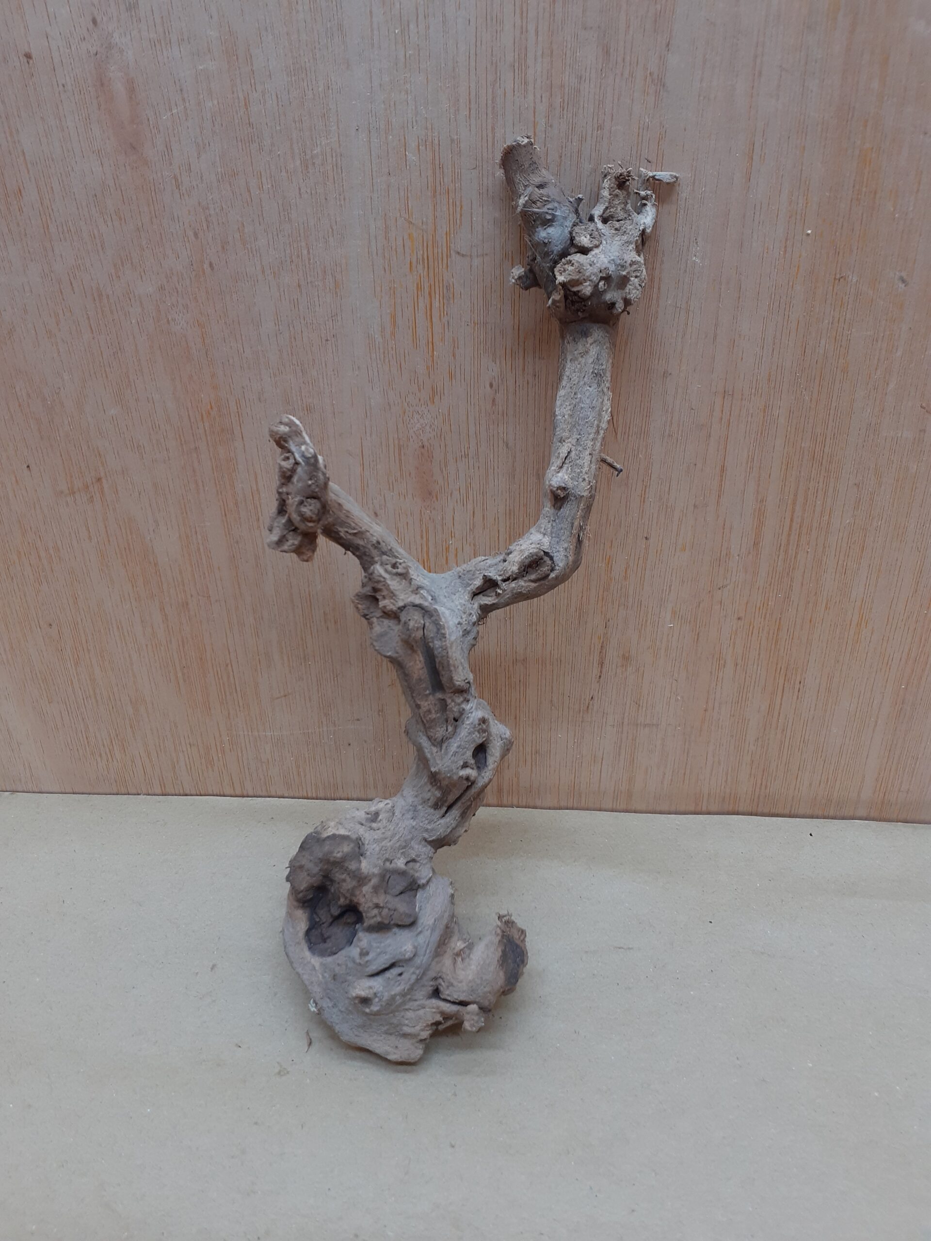 Sandblasted Grapevine - Small 11