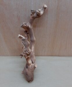 Sandblasted Grapevine - Small 4