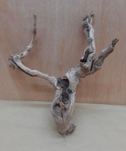 Sandblasted Grapevine - Small 1